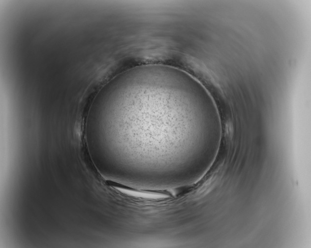 X0000096681300200802121203