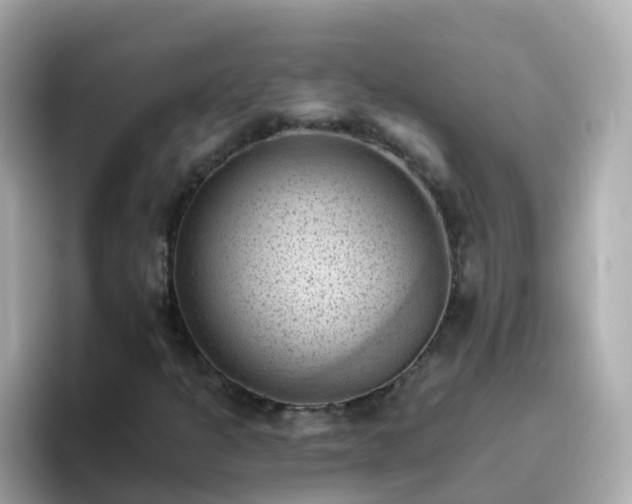 X0000096681301200802121203
