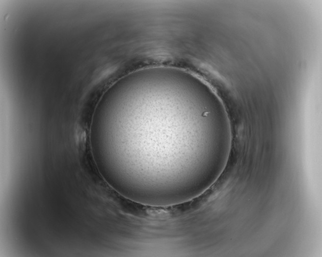 X0000096681302200802121203