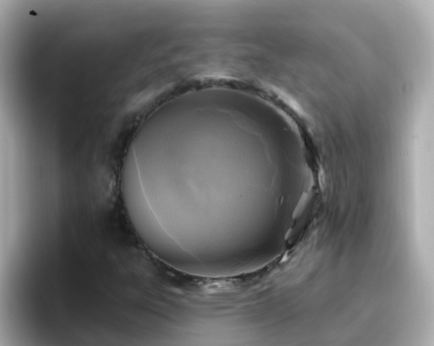 X0000096681303200802121203