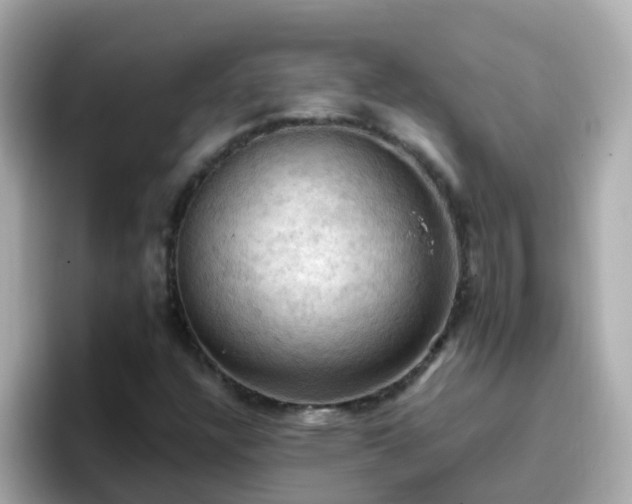X0000096681304200802121203