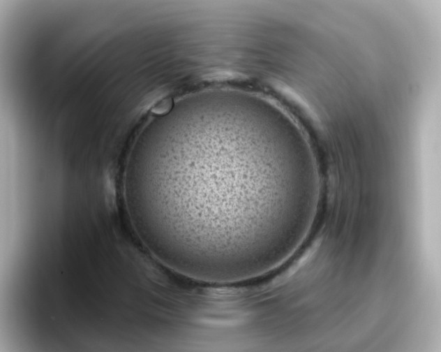 X0000096681305200802121203