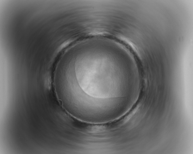 X0000096681306200802121203