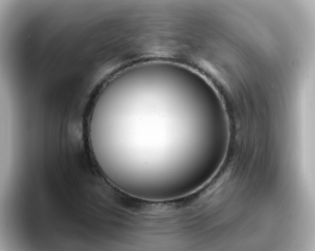 X0000096681307200802121203