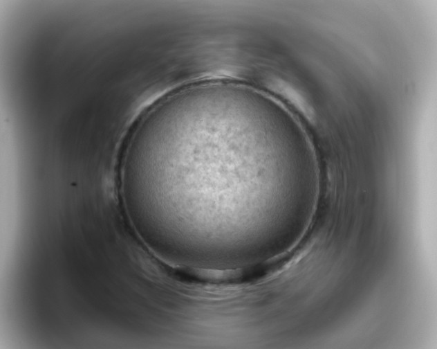 X0000096681308200802121203