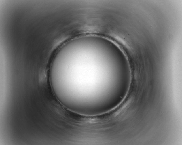 X0000096681309200802121203