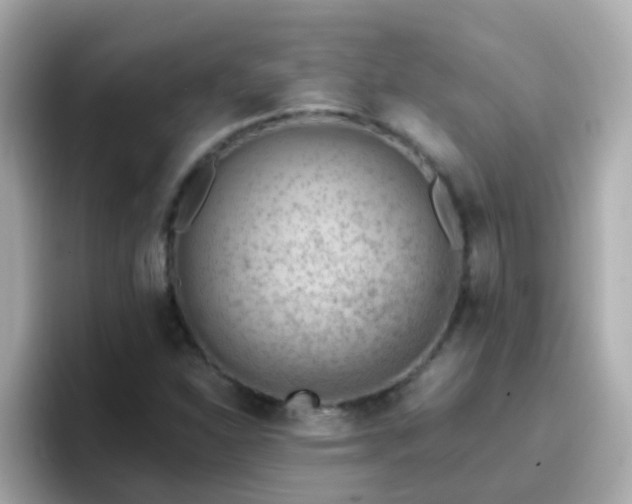 X0000096681310200802121203