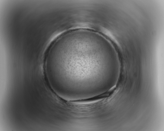 X0000096681312200802121203