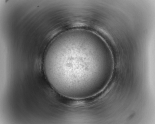 X0000096681313200802121203