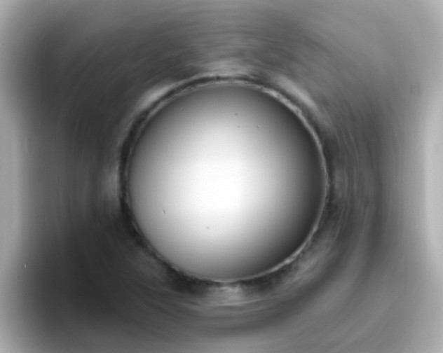 X0000096681315200802121204