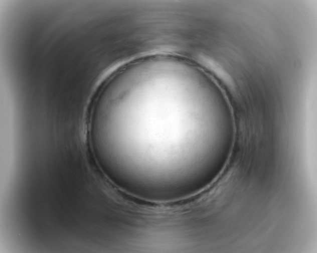 X0000096681316200802121204