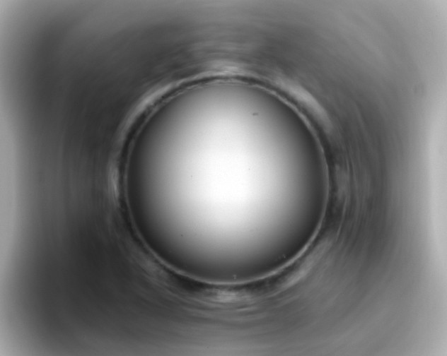 X0000096681318200802121204