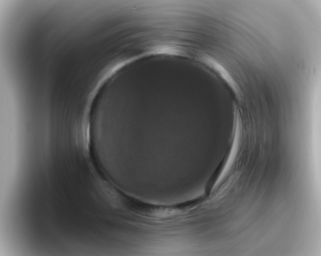 X0000096681323200802121204