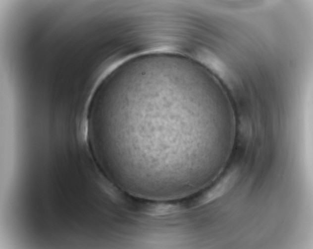 X0000096681324200802121204