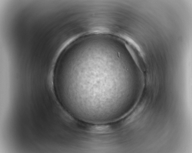 X0000096681325200802121204