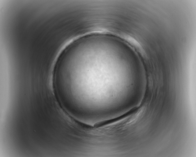 X0000096681326200802121204