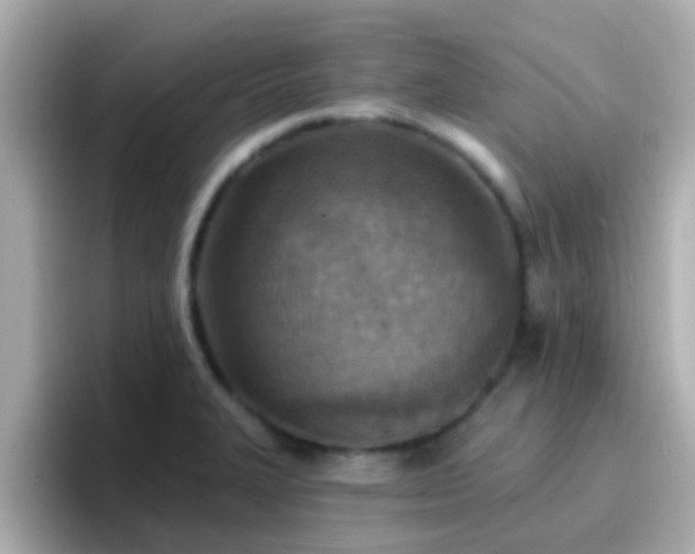 X0000096681327200802121204