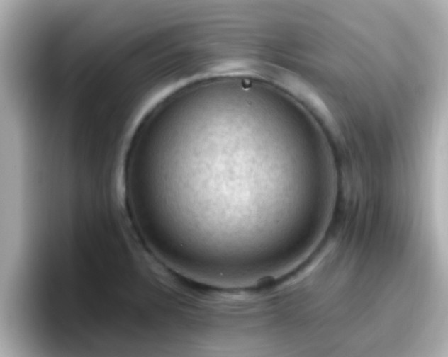 X0000096681328200802121204