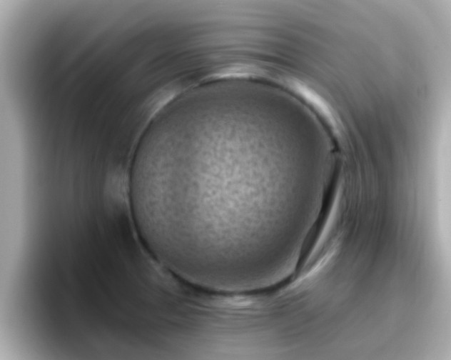X0000096681329200802121204