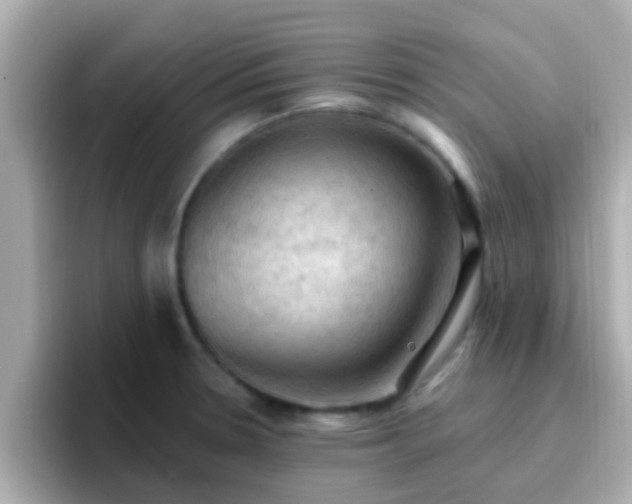 X0000096681330200802121204
