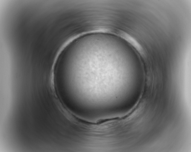 X0000096681332200802121204