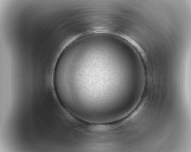 X0000096681333200802121204