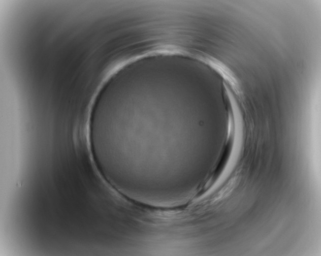 X0000096681334200802121204