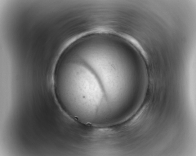 X0000096681335200802121204
