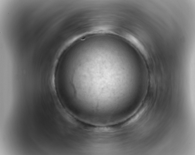 X0000096681336200802121204