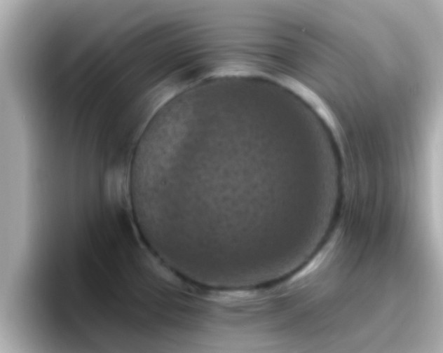 X0000096681337200802121204