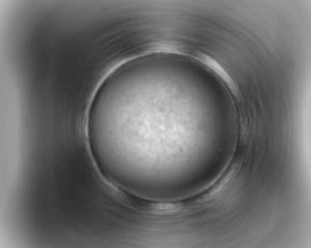 X0000096681339200802121204