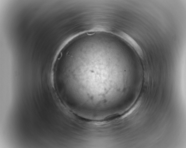 X0000096681340200802121204