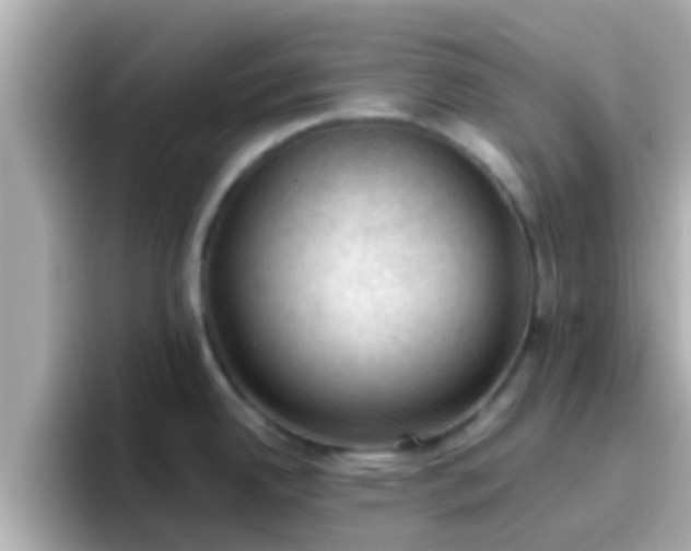 X0000096681342200802121204