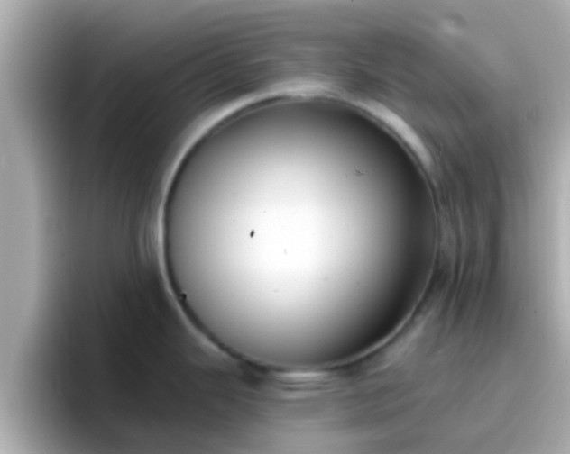 X0000096681343200802121204