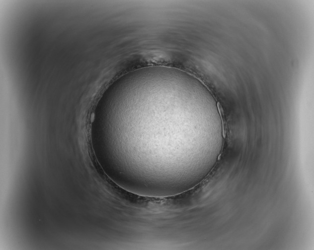 X0000096681345200802121203