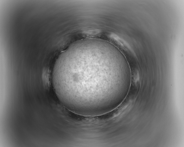 X0000096681346200802121203