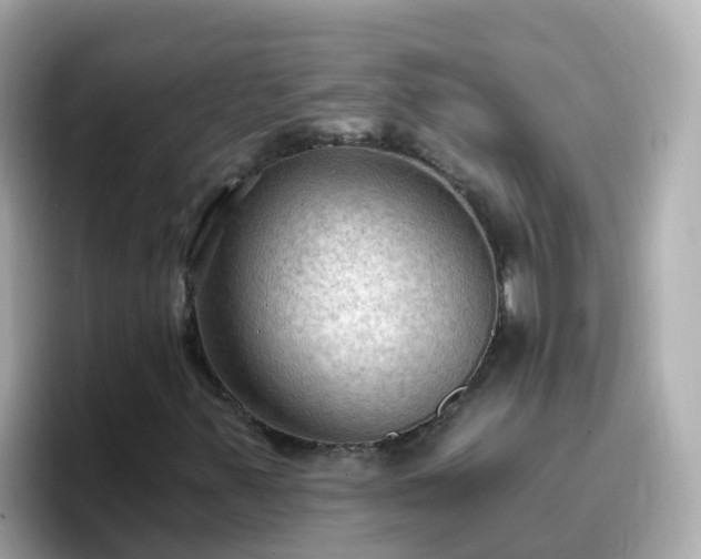 X0000096681347200802121203