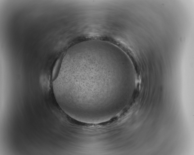 X0000096681348200802121203