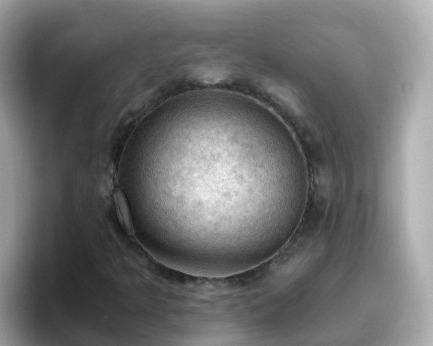 X0000096681349200802121203