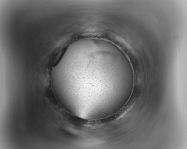 X0000096681350200802121203