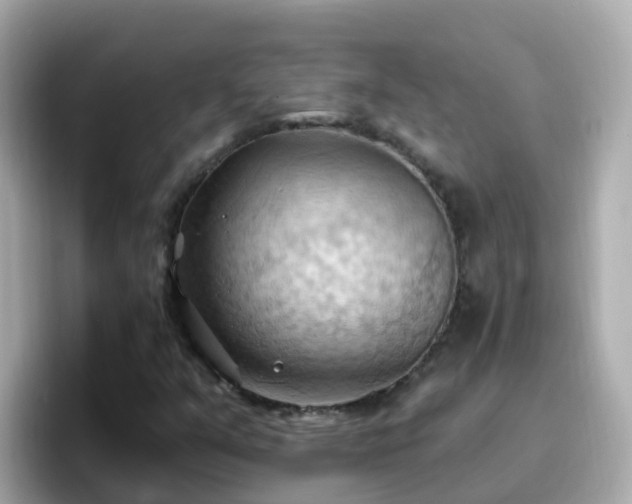 X0000096681351200802121203