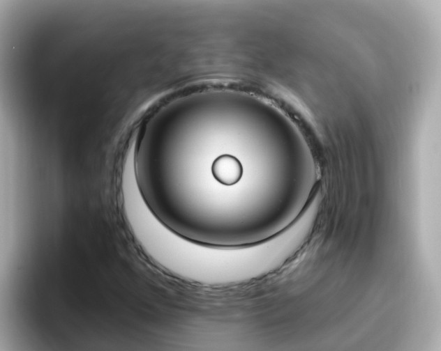 X0000096681352200802121203