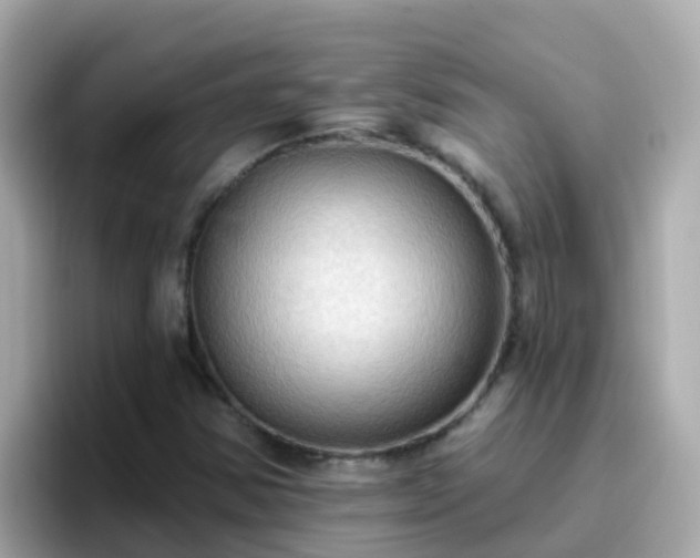 X0000096681354200802121203