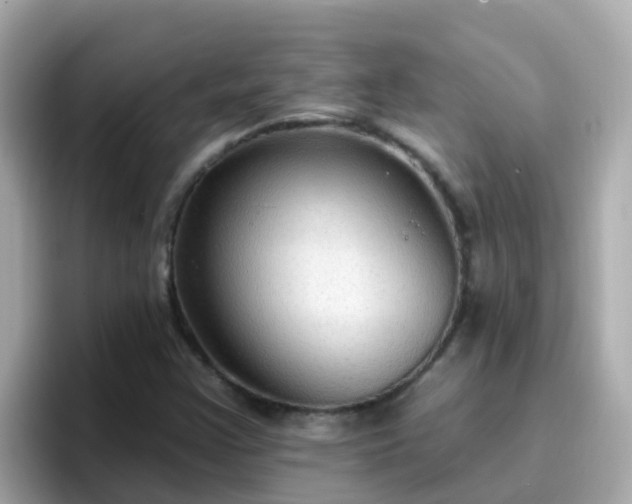 X0000096681355200802121203