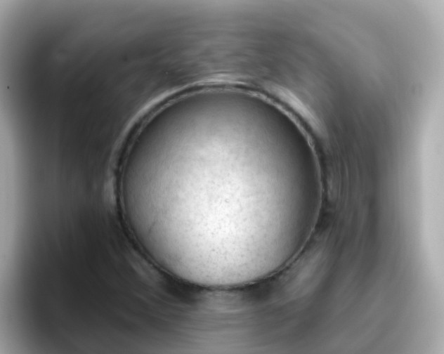 X0000096681356200802121203