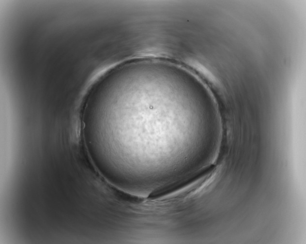 X0000096681358200802121203
