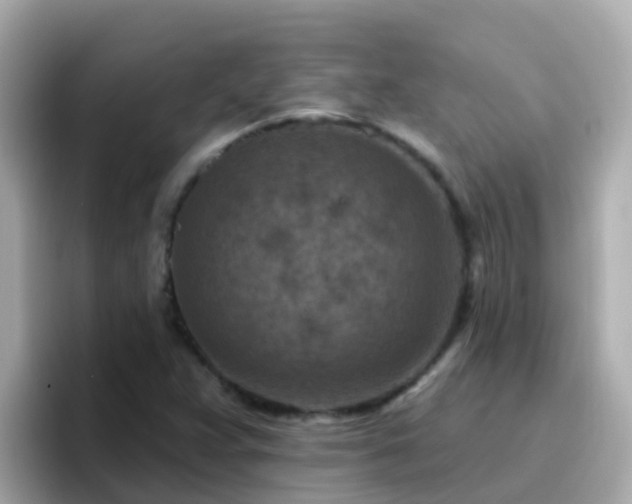 X0000096681359200802121203