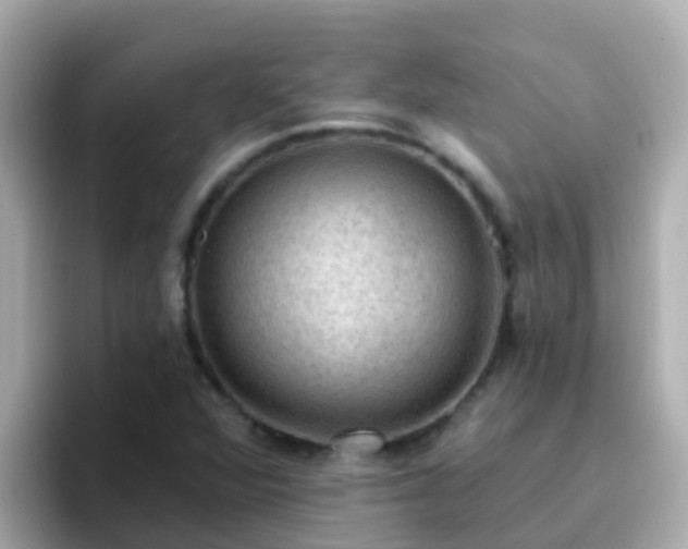 X0000096681360200802121203