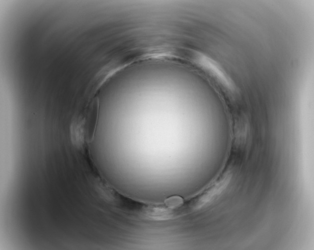 X0000096681361200802121203