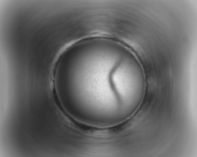 X0000096681363200802121203